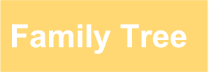 Family Tree