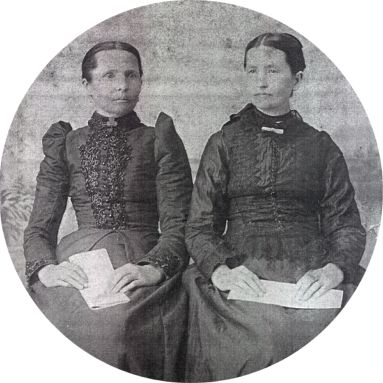 Tranquilla and Fountainella Bolin