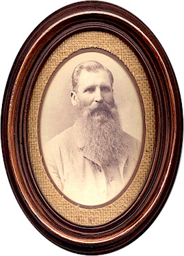 Will Sanders