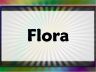 Flora