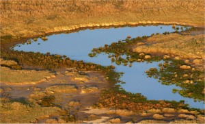 Painterly Pond Abstract (c) Alvy Ray Smith