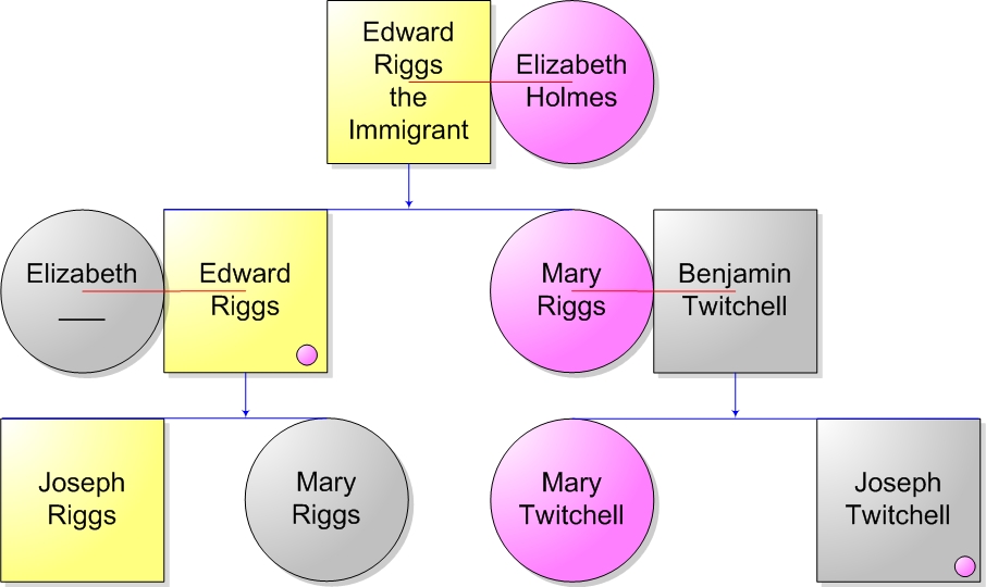 Riggs YDNA and mtDNA
